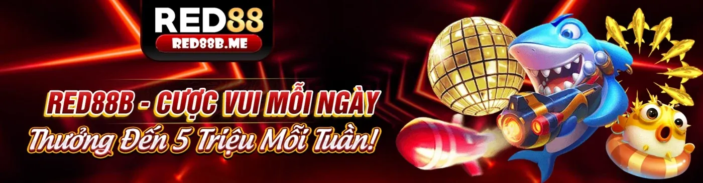 Hình ảnh đại diện cho Tuân thủ GDPR và bảo vệ dữ liệu tại ibet188 win