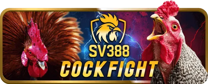 Cá Cược Bóng Đá ibet188 win