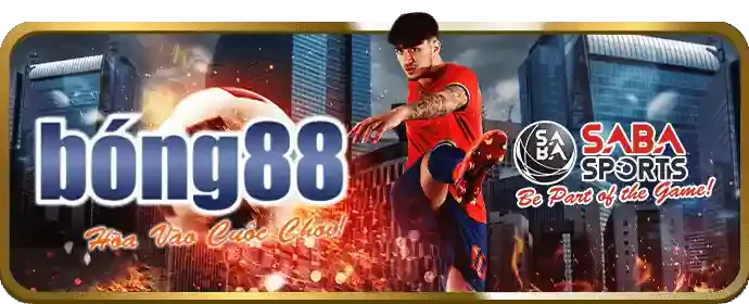 Bảng tỷ lệ cược đa dạng và cạnh tranh tại ibet188 win